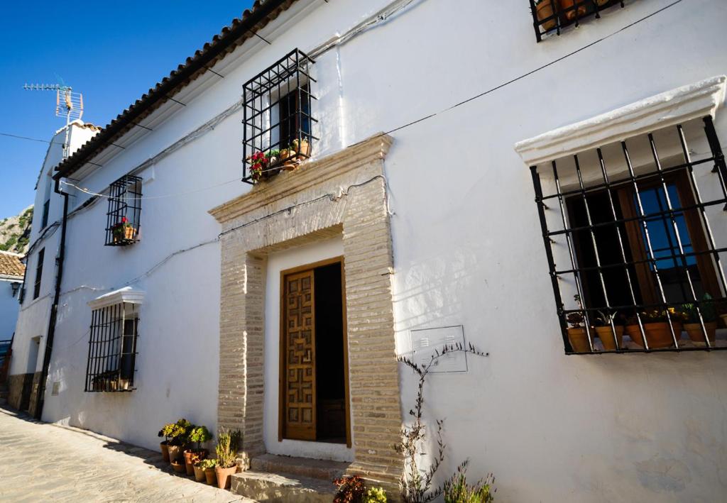 Image of LxRoller BairroAlto Fado 1