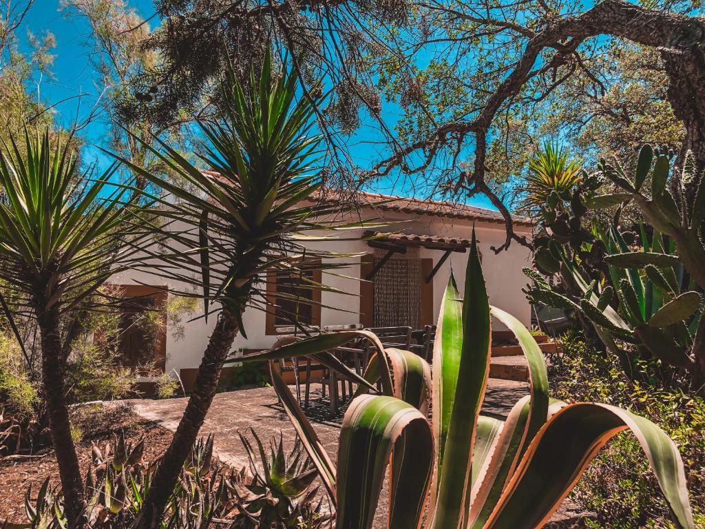 Image of CASA DOS ANÕES