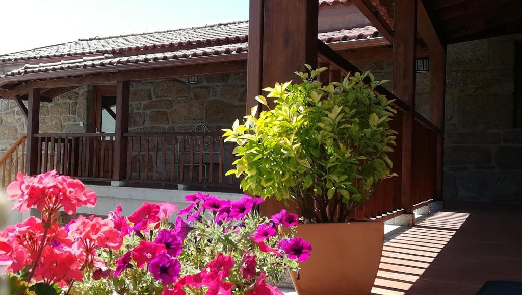 Image of Casas de Nossa Senhora da Graça III - Vila Berta