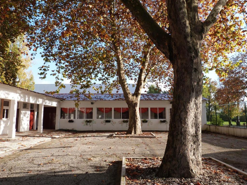 Image of SPIN Hostel