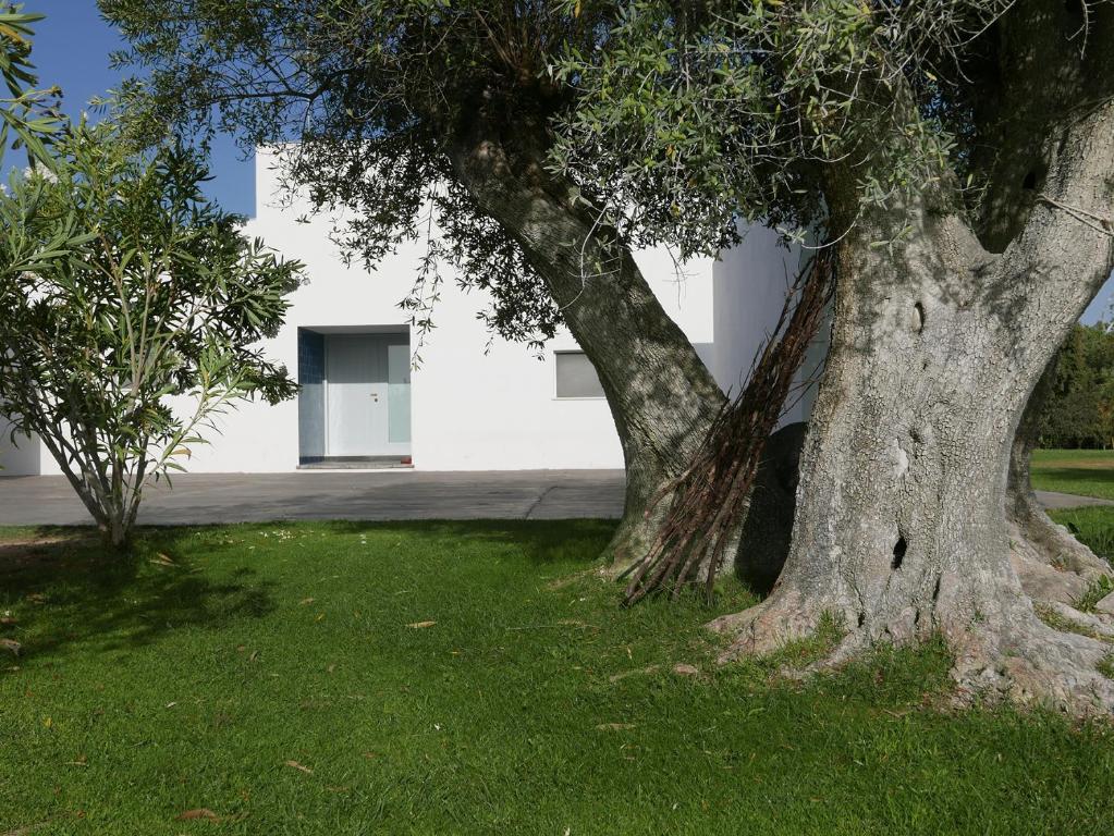 Image of Casa do Vale da Terra Negra