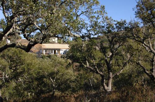 Image of Casa do Crochet