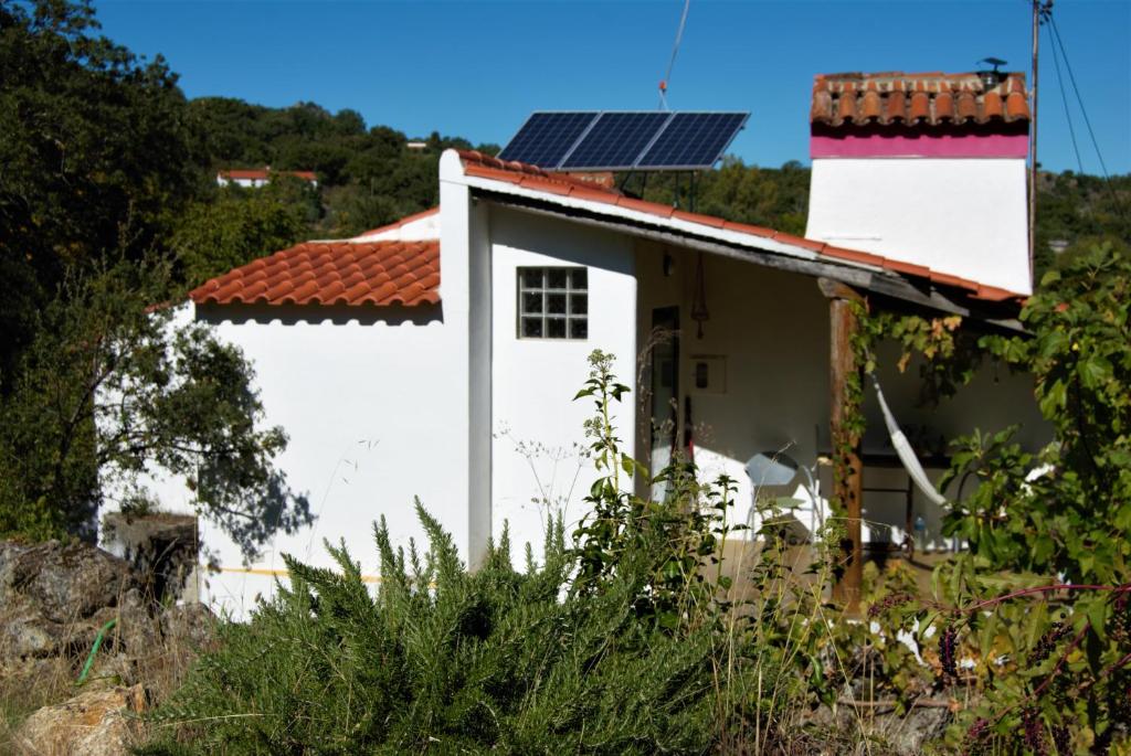 Image of Terrafazbem