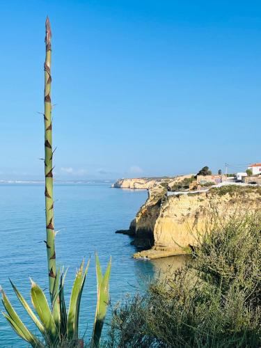 Image of Casa Seagull