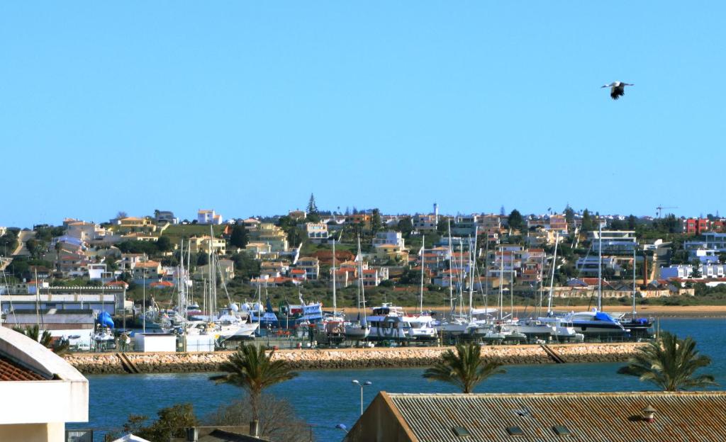 Image of VISTA RIO