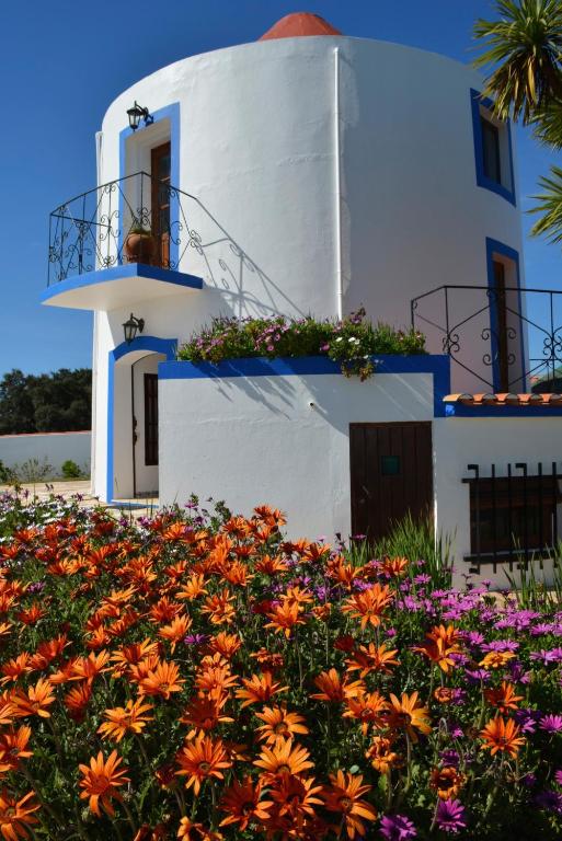 Image of Windmill Hill