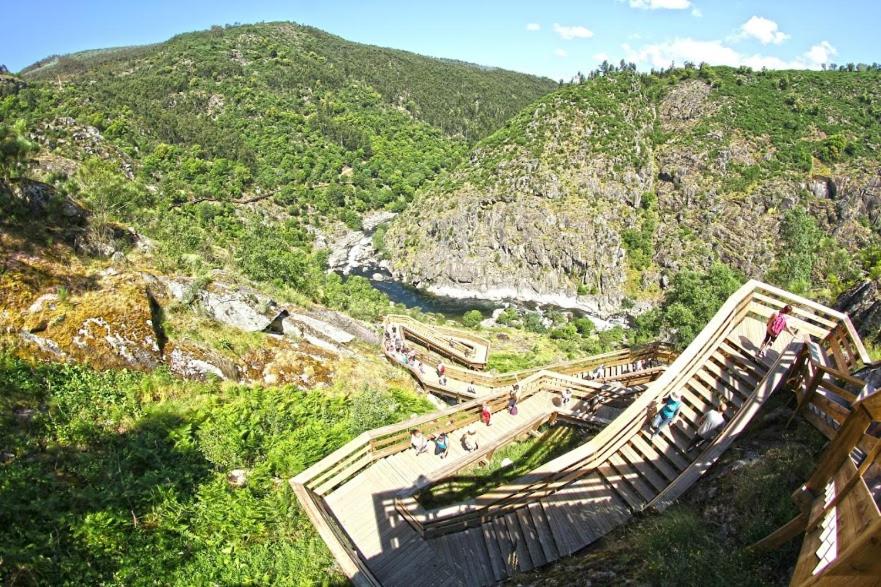 Image of Vistafreita