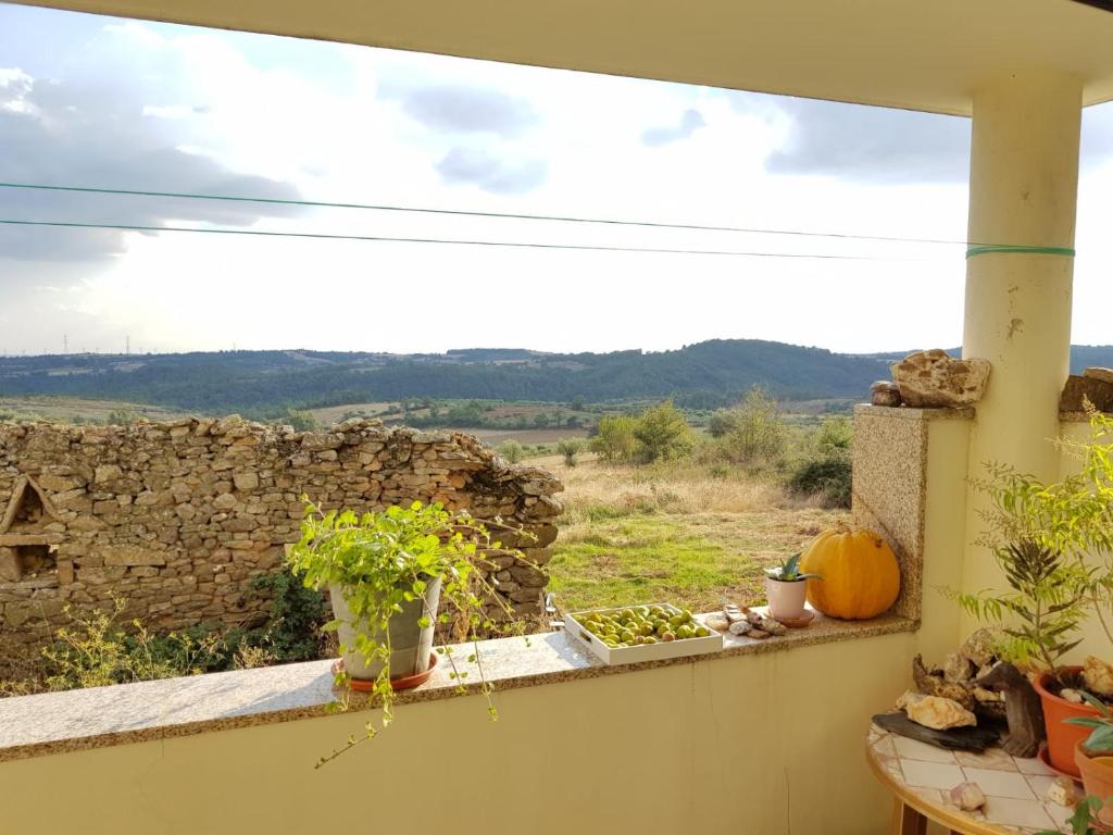 Image of RETIRO TERRASOL