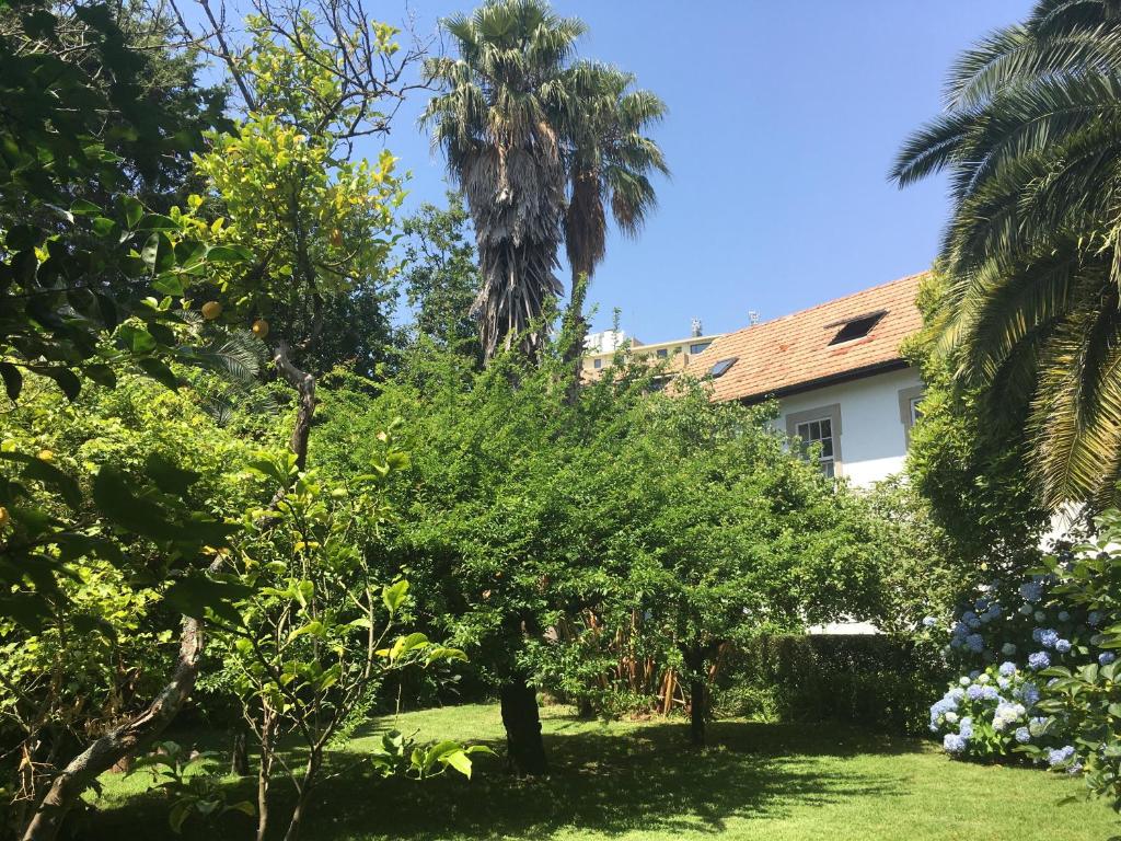 Image of COZY FLAT IN FOZ