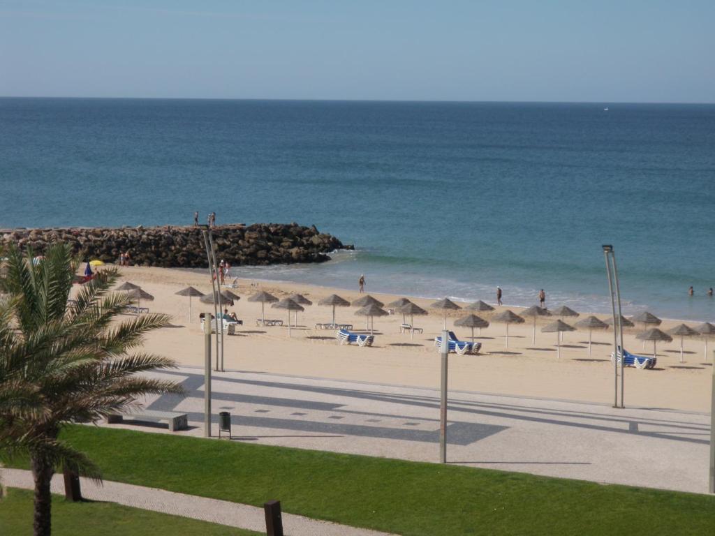 Image of NINHO DO POMBAL