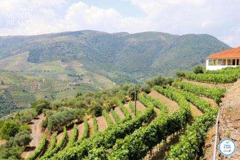 QUINTA DO MONTE BRAVO