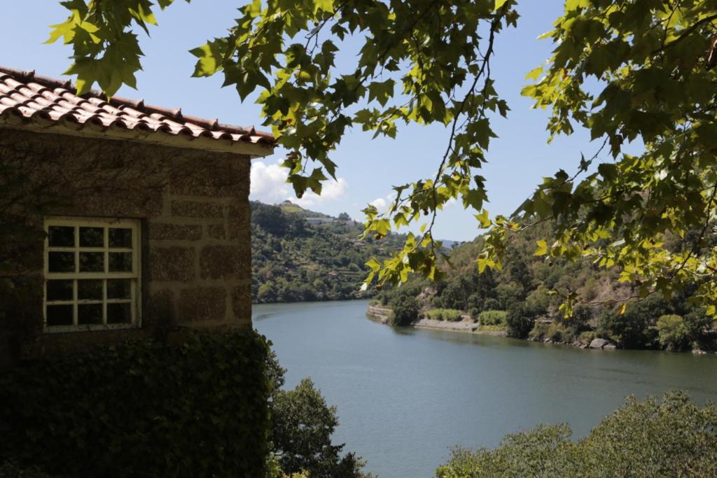 Image of Quinta da Figueira Velha