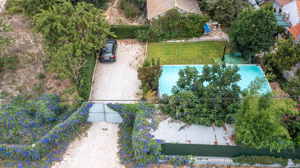 Image of Quinta dos Pinheiros