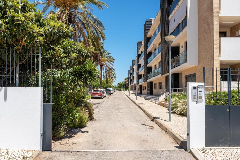 Image of Discovery Tavira