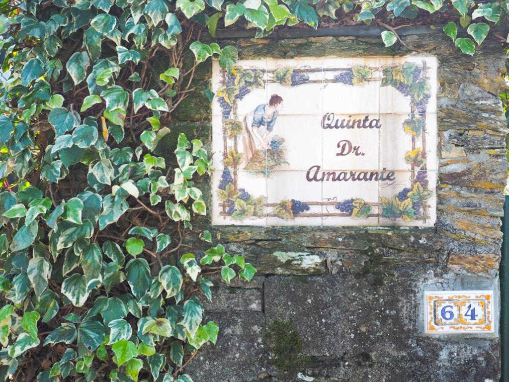 QUINTA DR AMARANTE