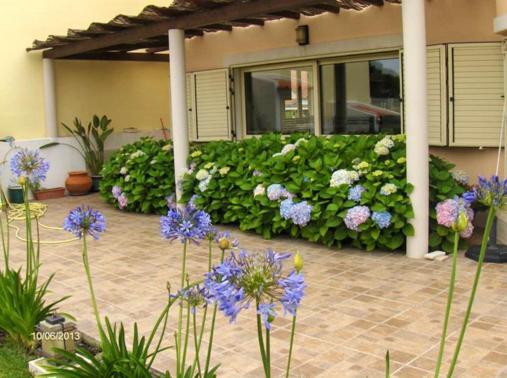 Image of "Vila's House"