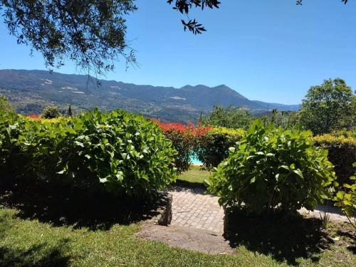 Image of Casa Marques