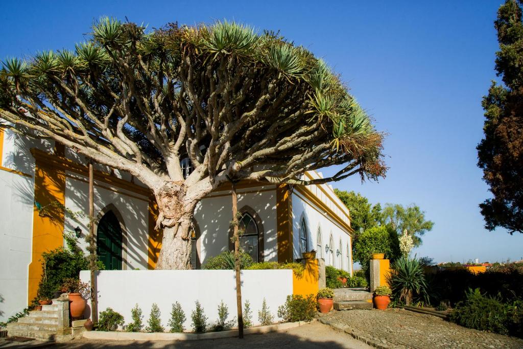 Image of CASA MODERNA DO BALEAL
