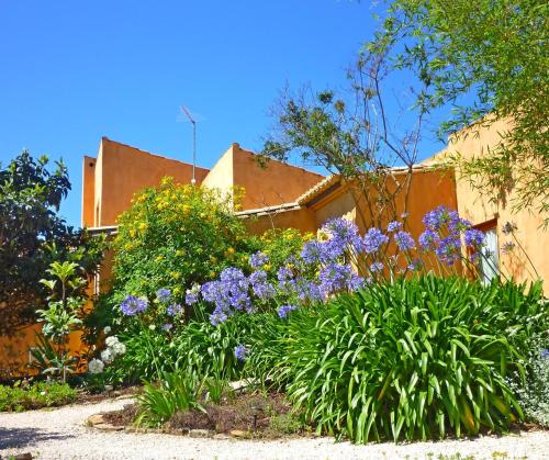 Image of Casa dos Sonhos