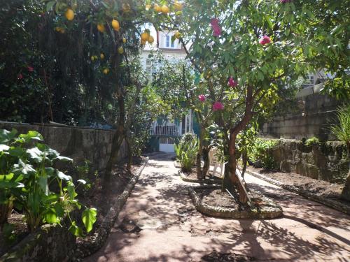 Imagem de CASA FAMILIAR DO PORTO