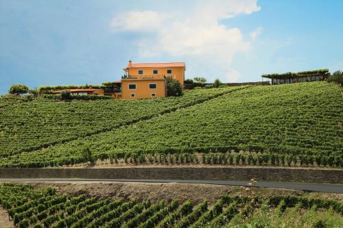 Image of Villa Seara