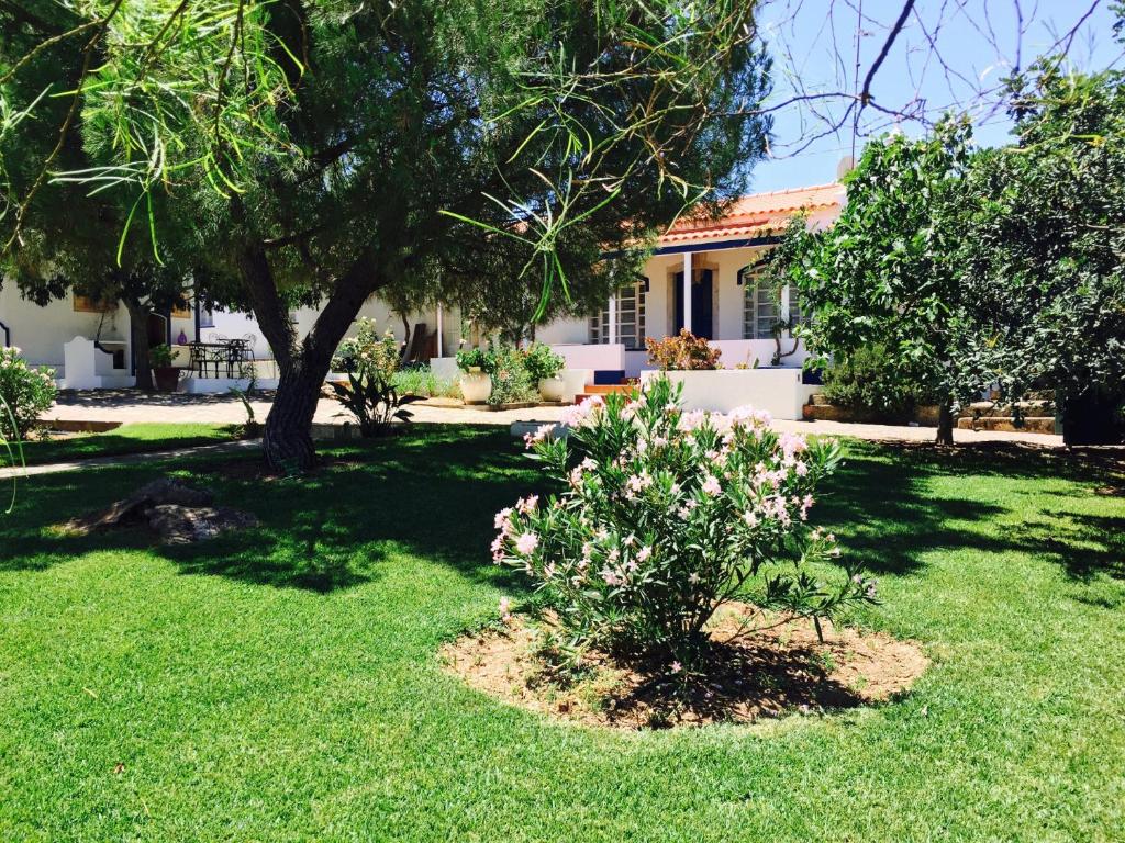Image of Monte de Vale de Camelos
