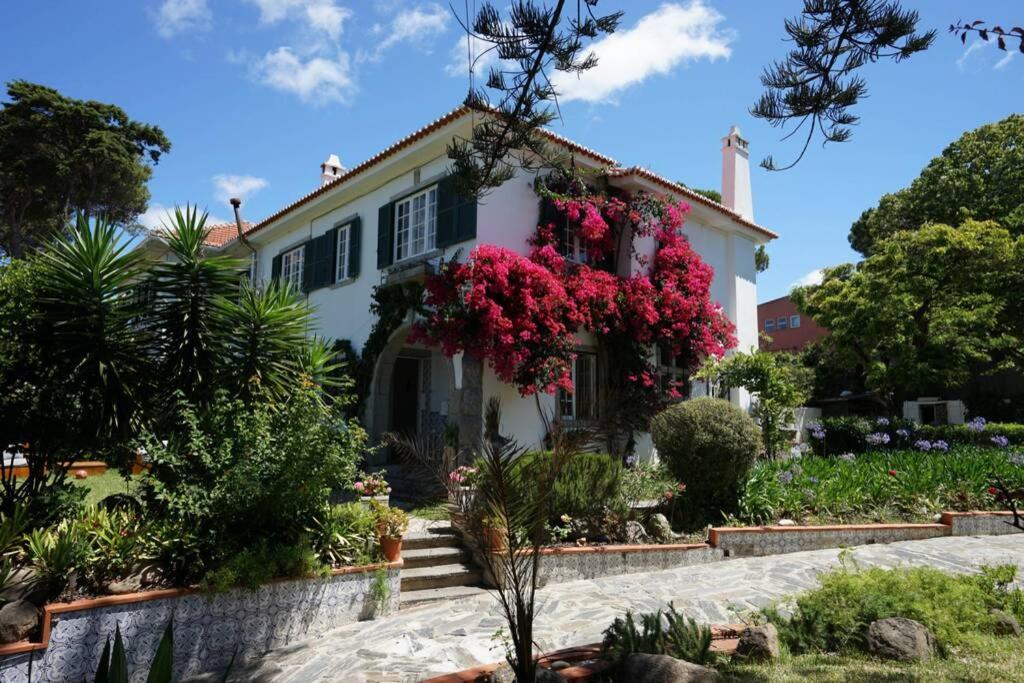 PORTUGUESE GARDEN VILLA NEAR SEA