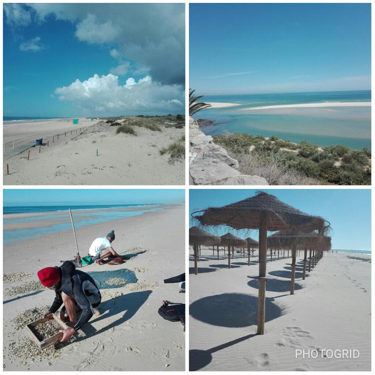 CASAS DA PRAIA 