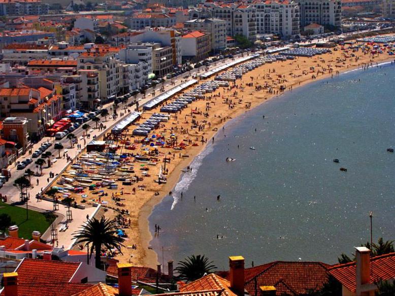 BAYSIDE - 16 - 2.º DT.º