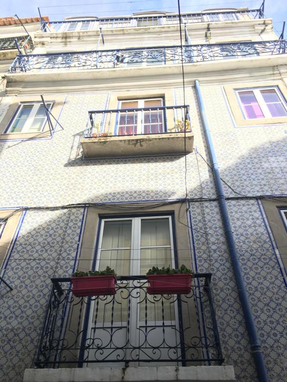 BLUE SAINT HOUSE