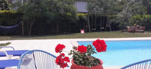 VILLA - GARDEN & POOL