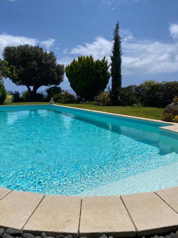 PRINCIPE REAL APARTMENT