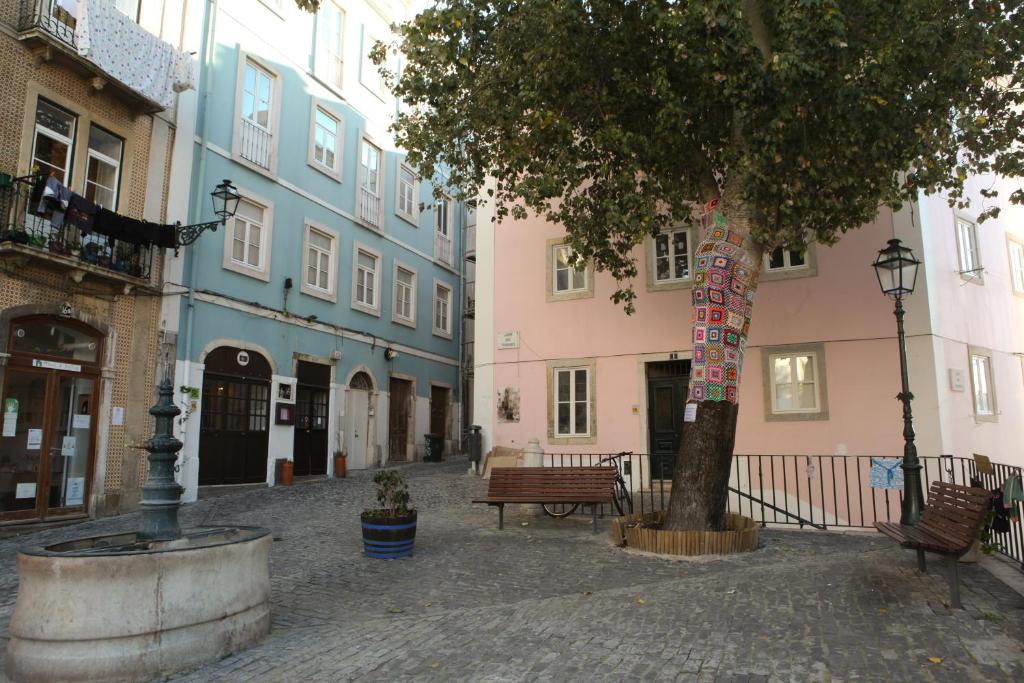 TRIGUEIROS 18E3
