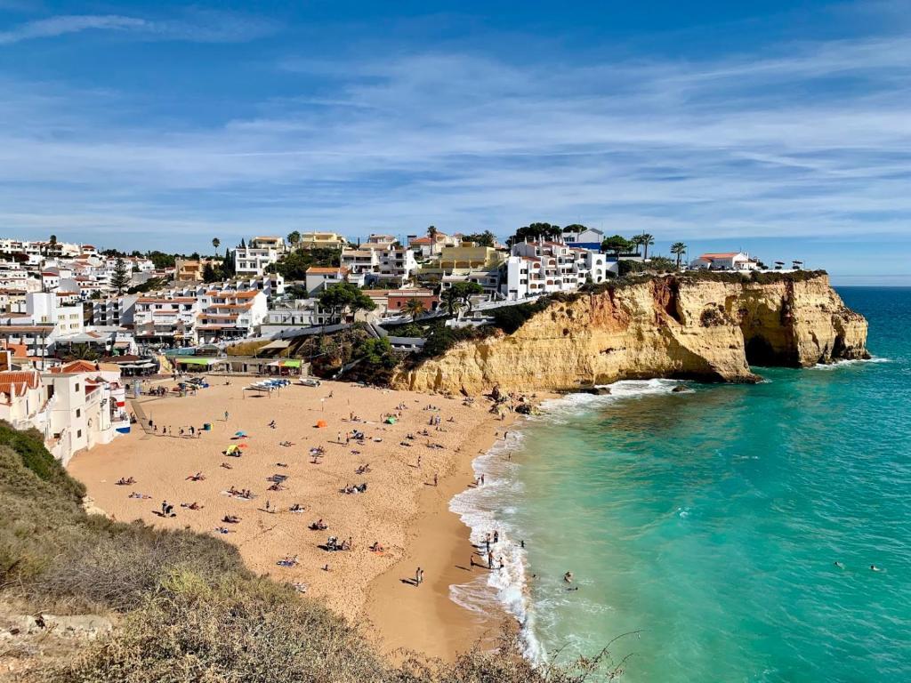 T1 CARVOEIRO DANIEL
