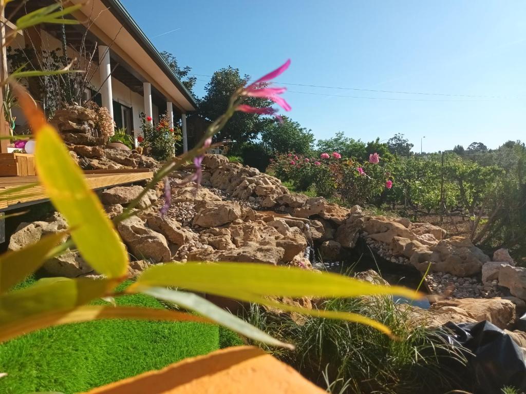 FLORESTA