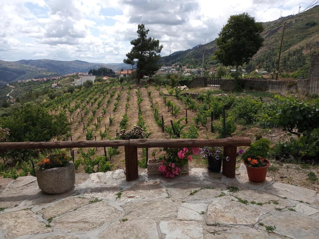CASA DA VINHA EM TABUAÇO
