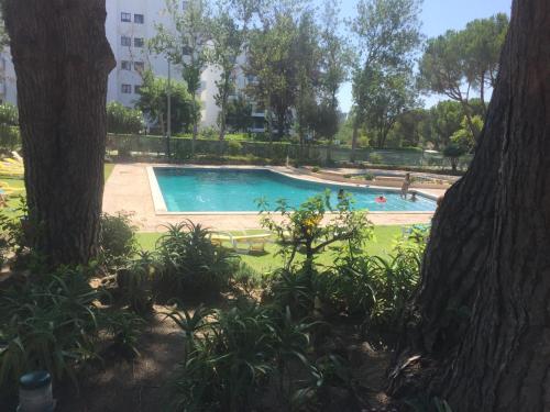 Image of Montesol