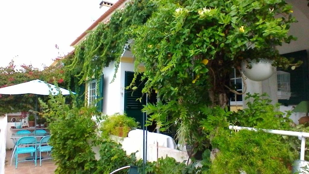 A CASA DO LAGAR