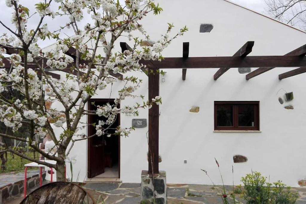 CASA DA TILEIRA