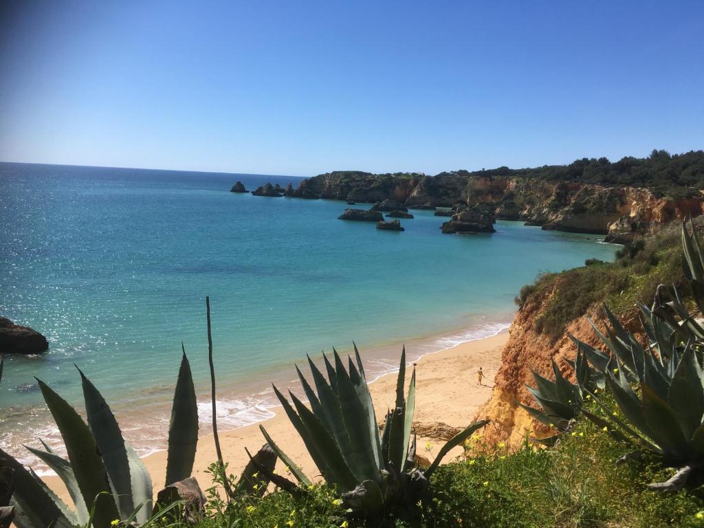 Image of Alvor River