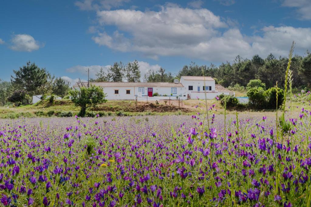 CASA FONTINHAS