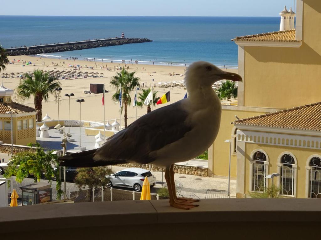 APARTAMENTO T1
