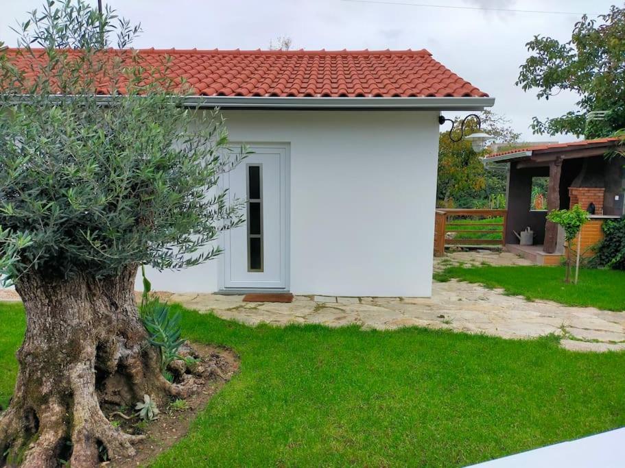 Image of Casa junto ao Rio