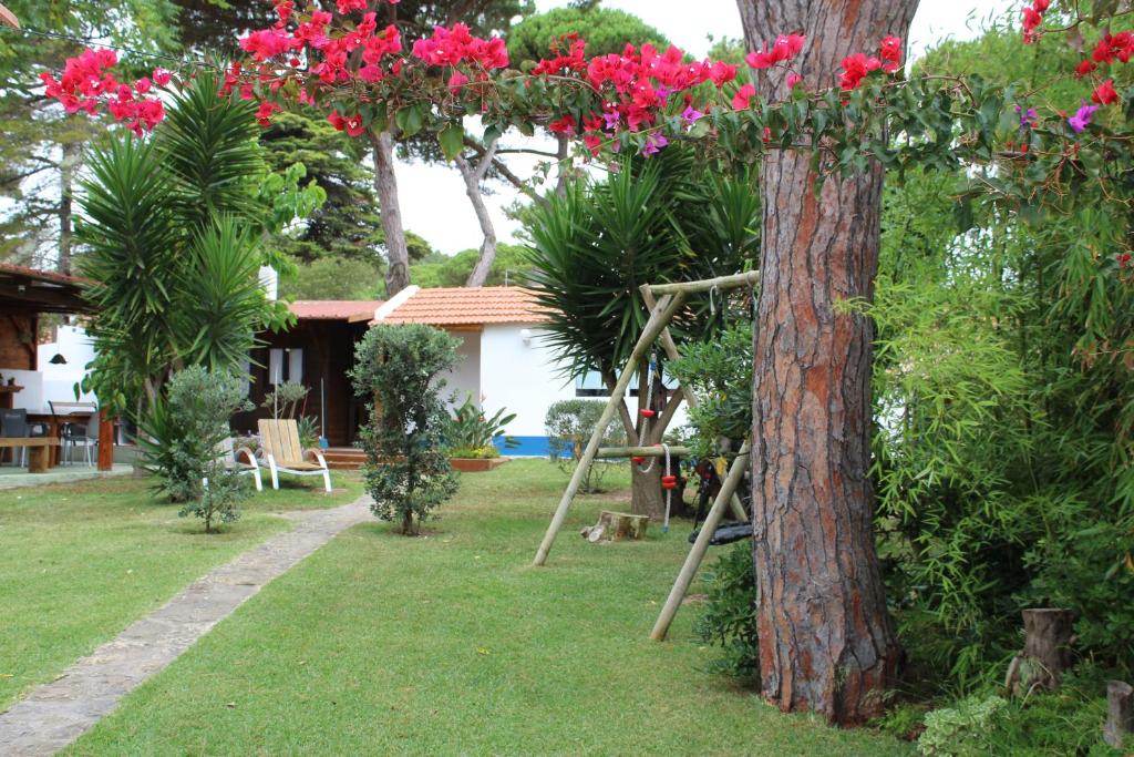 Image of Casa de Colares